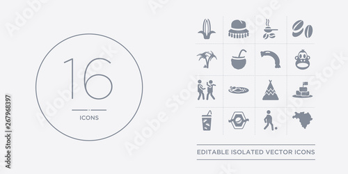 16 vector icons set such as brazil map, brazil soccer player, brazil team shield, caipirinha drink glass of cake with a flag contains calumet, cantonese fish, capoeira dancers, chimp face of map,