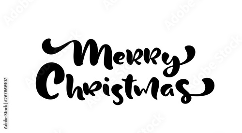 Merry Christmas hand drawn lettering text. Vector illustration Xmas calligraphy on white background. Isolated calligraphic element for banner  postcard  poster design greeting card
