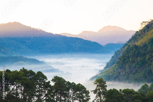 Sunrise morning sky with fog on mountain