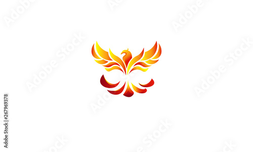 fire bird phoenix flying to the top