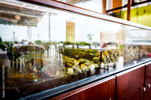 Colorful crawfish for sale, sea crustaceans inside aquarium in a restaurant