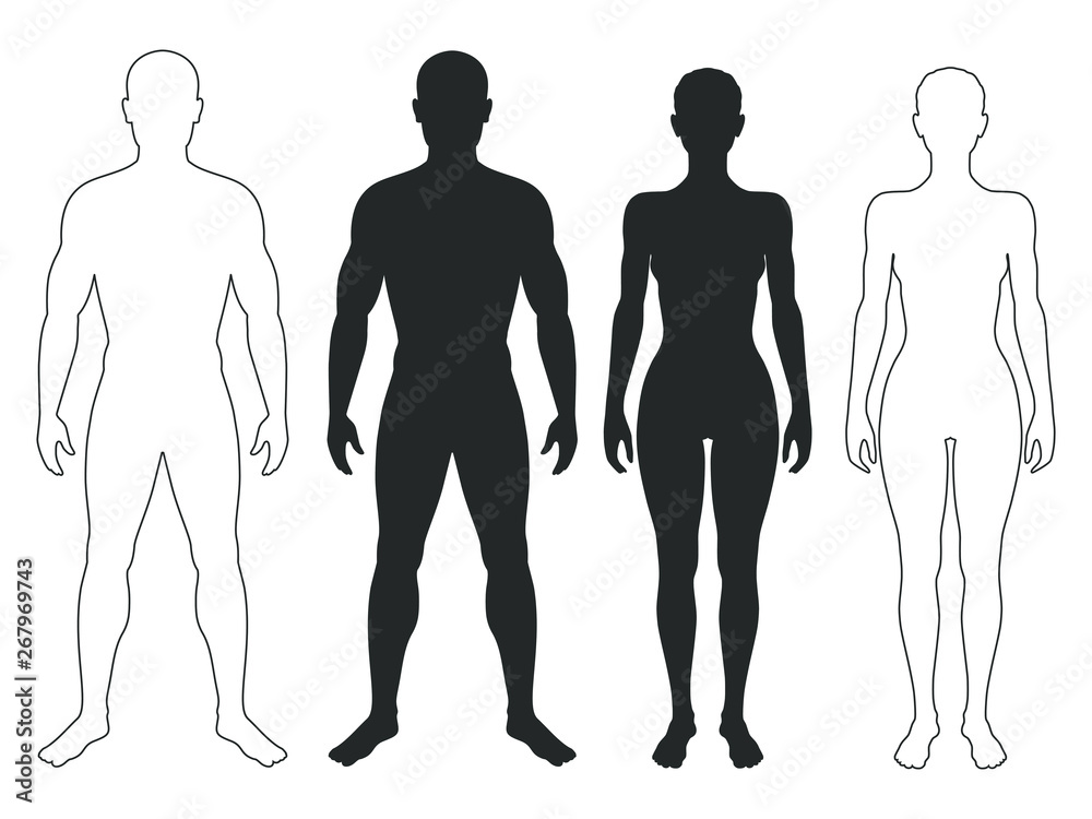 Male and female body silhouettes and contours. Man and woman Isolated symbols on white background. Vector illustration Male and female body silhouettes and contours. Man and woman Isolated symbols on white background. Vector illustration