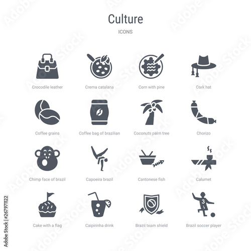 set of 16 vector icons such as brazil soccer player, brazil team shield, caipirinha drink glass of brazil, cake with a flag, calumet, cantonese fish, capoeira dancers, chimp face of from culture