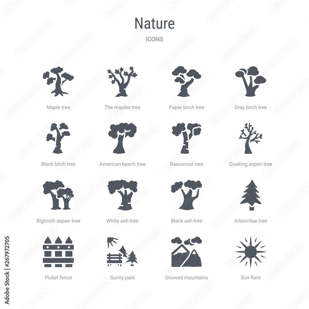 set of 16 vector icons such as sun flare, snowed mountains, sunny park, picket fence, arborvitae tree, black ash tree, white ash tree, bigtooth aspen from nature concept. can be used for web, logo,