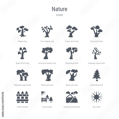 set of 16 vector icons such as sun flare  snowed mountains  sunny park  picket fence  arborvitae tree  black ash tree  white ash tree  bigtooth aspen from nature concept. can be used for web  logo 