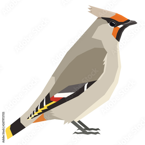 Bohemian waxwing Birds collection Vector illustration Isolated object