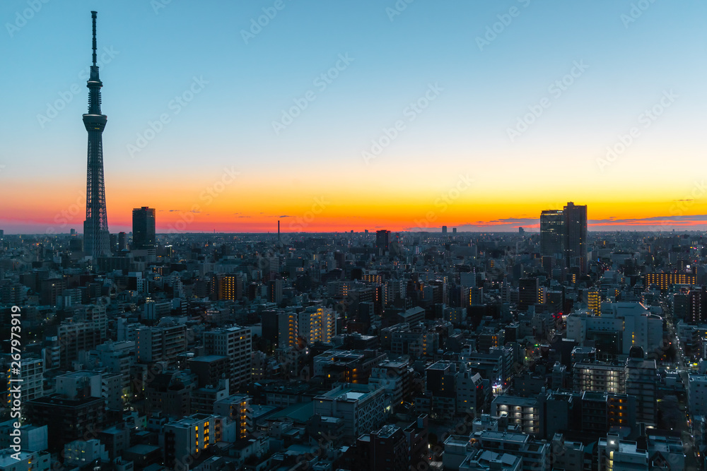 Tokyo skyline at sunrise/ sunset