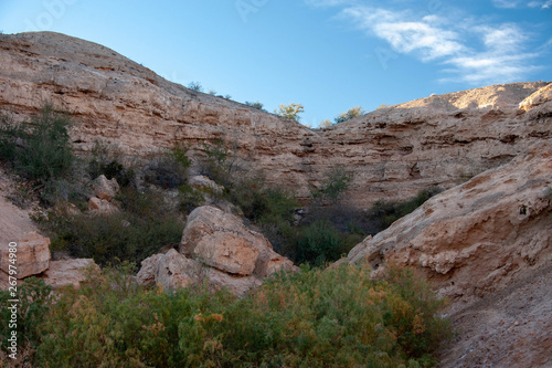 Whitney Mesa Recreation Area/Complex