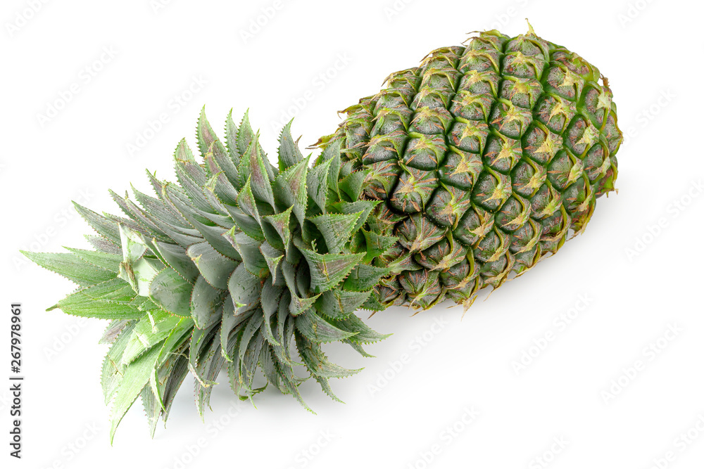 Single whole pineapple isolated on a white background Single whole pineapple isolated on a white background