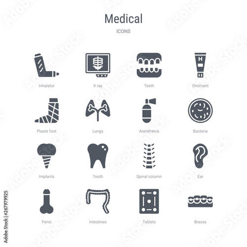 set of 16 vector icons such as braces, tablets, intestines, penis, ear, spinal column, tooth, implants from medical concept. can be used for web, logo, ui\u002fux
