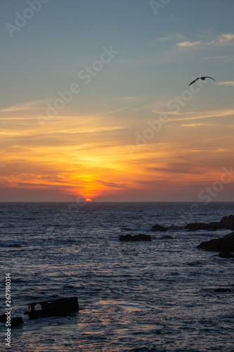 Colorful sunset on the beach with rocks and birds, at Porto, Portugal