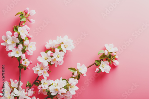 Sakura  spring flowers on a pink background with space for greeting. Low contrast