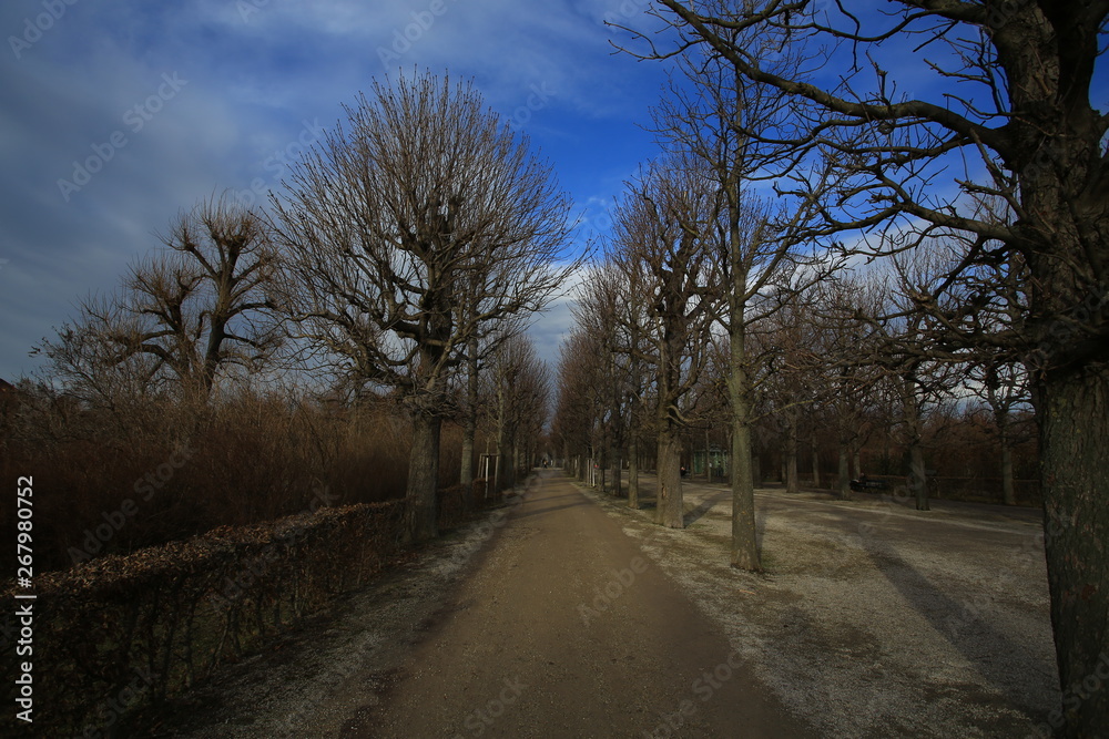 rural park in europe