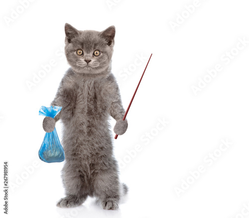 Kitten holds plastic bag and pointing away on empty space. Concept cleaning up pet droppings. isolated on white background