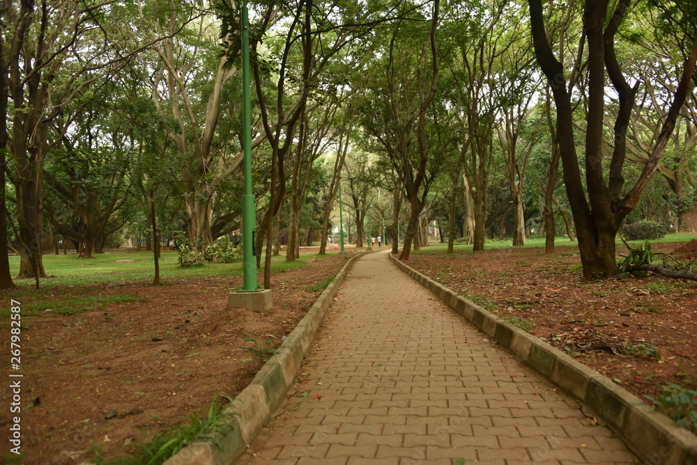 Sri Chamarajendra Park (Cubbon Park), Bangalore, Karnataka