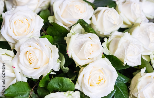 A fragment of a bouquet of white roses