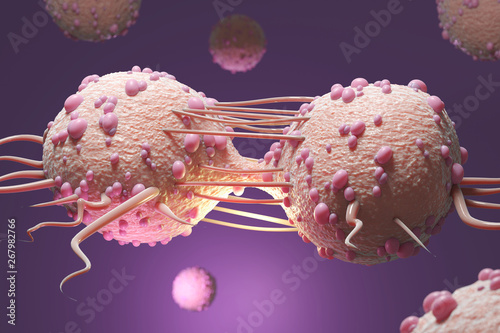 Cancer cells dividing on purple background. 3D illustration