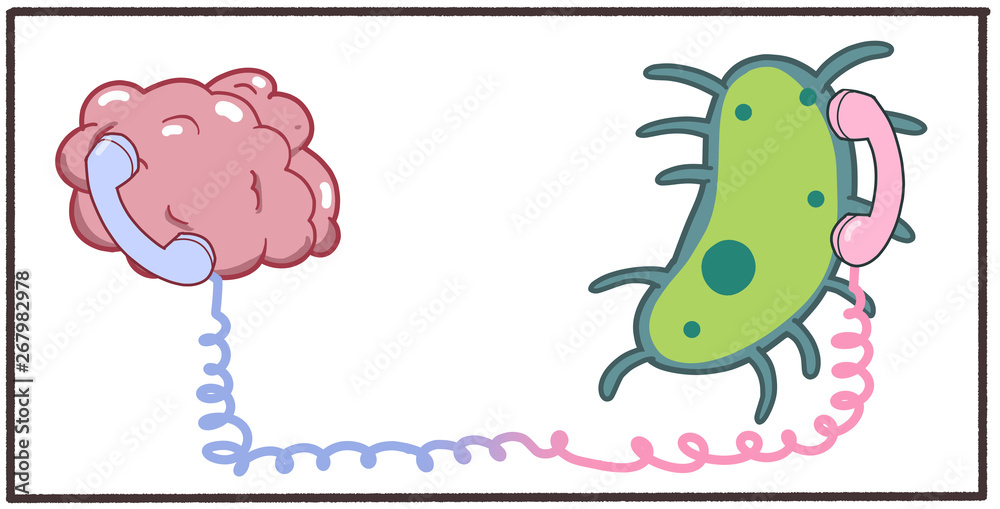 Cartoon 2d artwork showing communication between microbiome gut bacteria  and brain central nervous system. Digital illustration on white background.  Stock Illustration | Adobe Stock