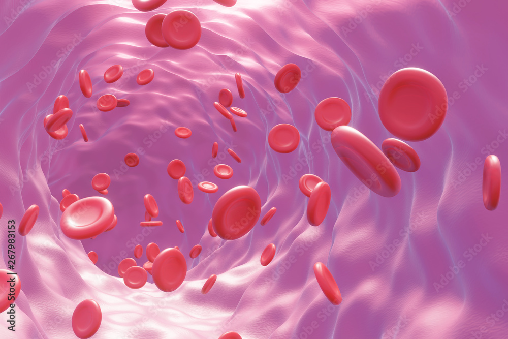 Red blood cells flowing through vein artery blood vessel. 3d illustration