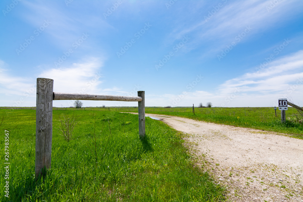 Wooden post