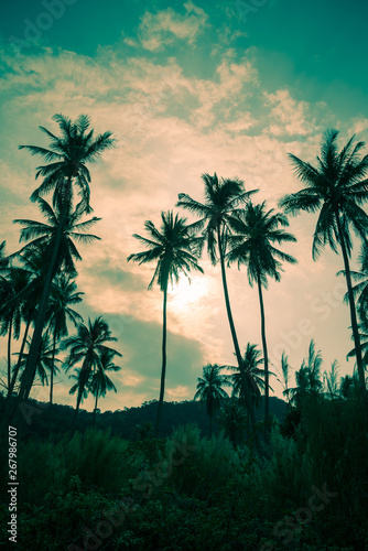 Beautiful silhouette coconut palm tree in sunset evening with clouds sky background in vintage tone. Travel tropical summer beach holiday vacation or save the earth  nature environmental concept.