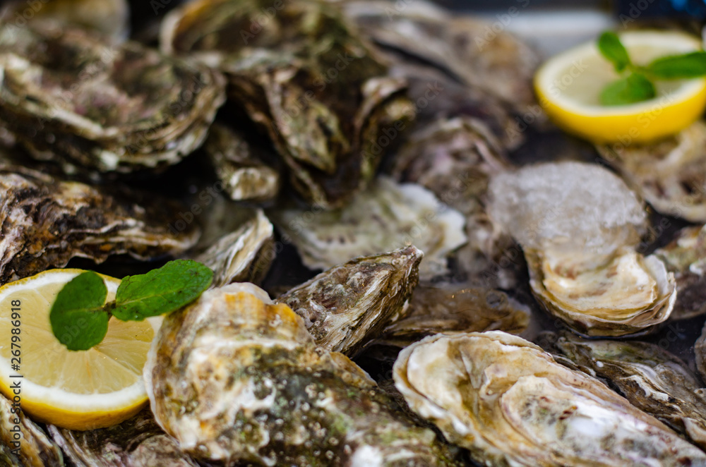 Tasty raw oysters with ice and lemon on dark background Tasty raw oysters with ice and lemon on dark background