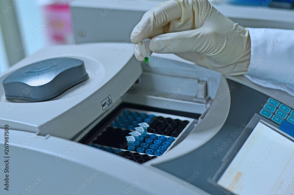 Scientist holding PCR tube put into PCR machine Scientist holding PCR tube put into PCR machine