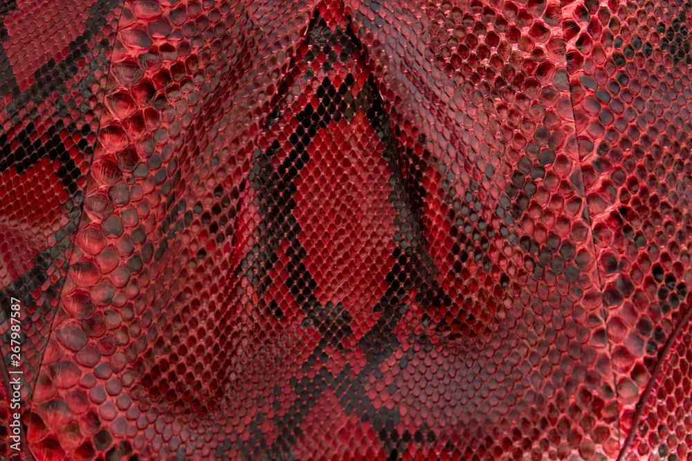Seamless snake skin texture. Fashion for tropical reptiles. Genuine Python skin. Red-dyed snake skin. Red background. Seamless snake skin texture. Fashion for tropical reptiles. Genuine Python skin. Red-dyed snake skin. Red background.