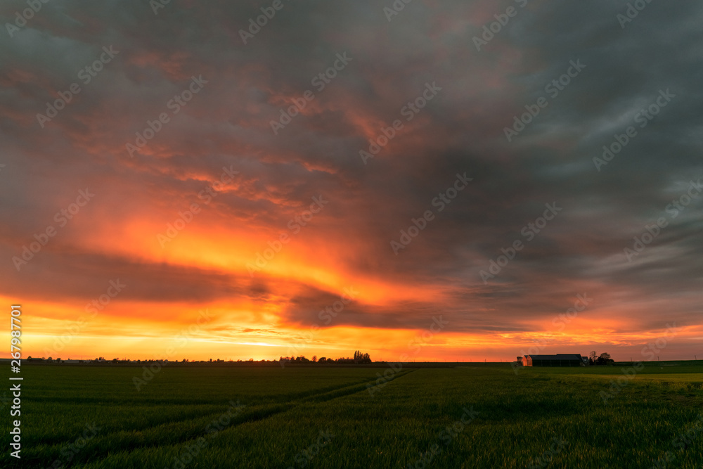 Fototapeta premium Colorful last light of the setting sun shines on the base of the clouds. Beautiful, flat, wide open dutch countryside with a farm in the distance.