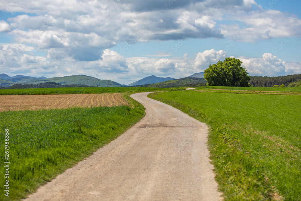 road in the green field .open landscape road in the green field .open landscape