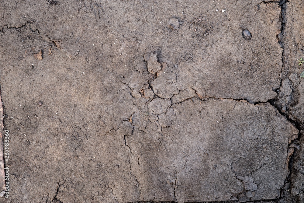 Texture of old cardboard wood plate. Cracked from time. Texture of old cardboard wood plate. Cracked from time.