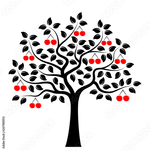 cherry tree