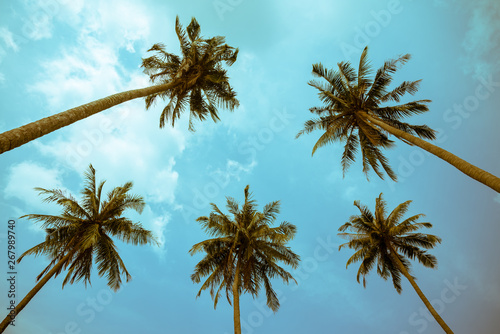 Beautiful coconut palm tree forest in sunshine day clear sky background retro tone. Travel tropical summer beach holiday vacation or save the earth, nature environmental concept.