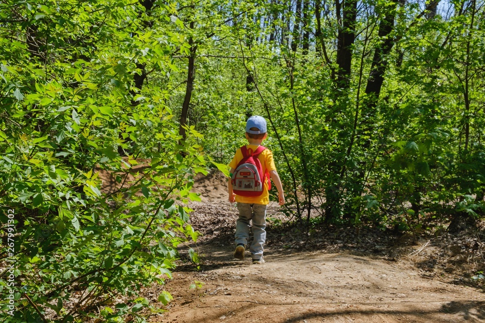 backpack child hiking summer green. childhood. backpack child hiking summer green. childhood.