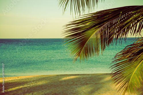 Tropical papradise beach with coconut palm tree in morning. Tropical summer beach holiday vacation traveling, resort hotel business concept.