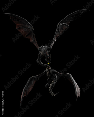 2 dragon flying onr is above black background isolated 3d illustration