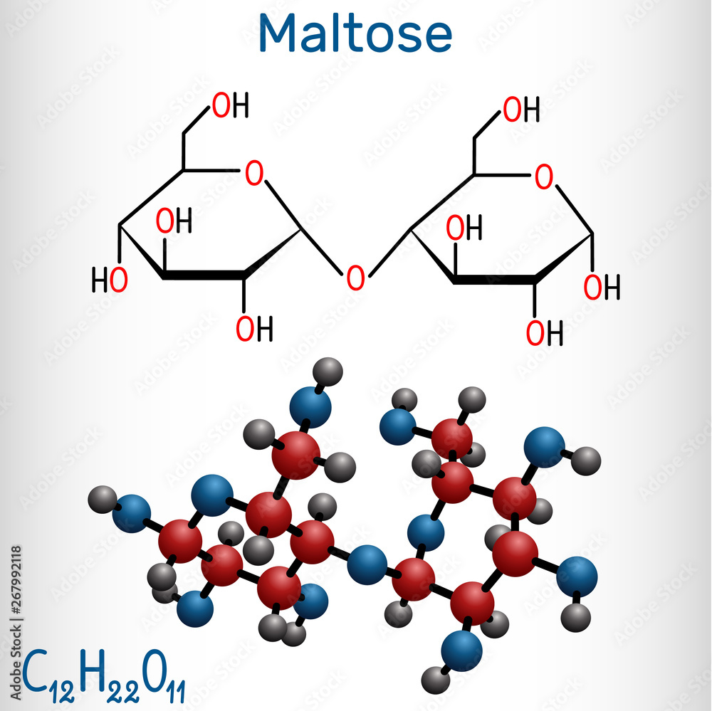 Maltose, malt sugar molecule, is a disaccharide. Structural chemical