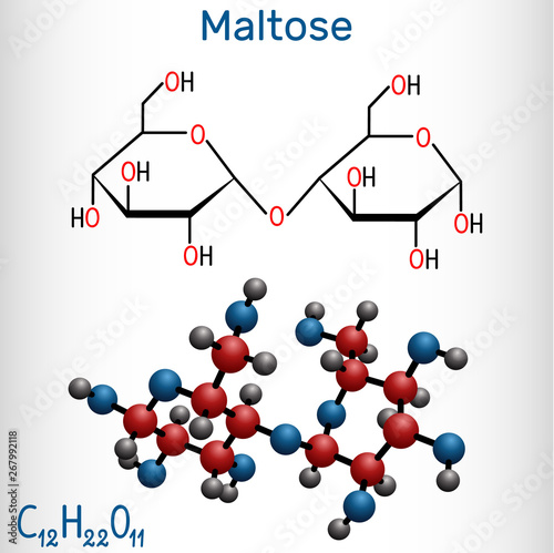 Maltose, malt sugar molecule, is a disaccharide. Structural chemical formula and molecule model