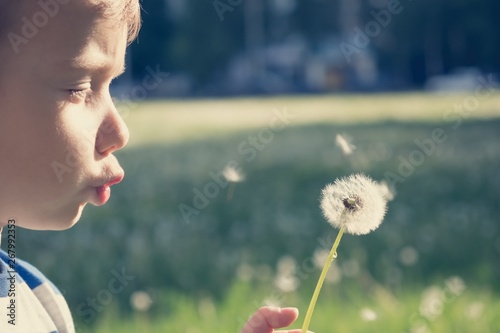 dandelion nature child litt...