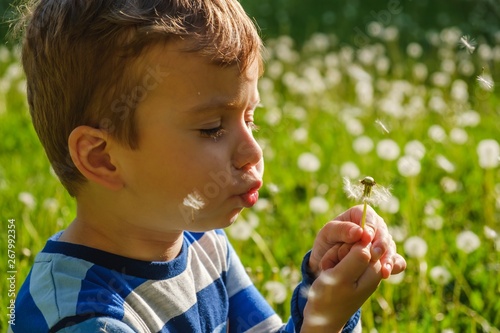 dandelion nature child litt...
