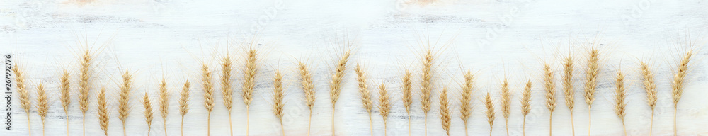 top view of wheat crops over white wooden background. Symbols of jewish holiday - Shavuot top view of wheat crops over white wooden background. Symbols of jewish holiday - Shavuot
