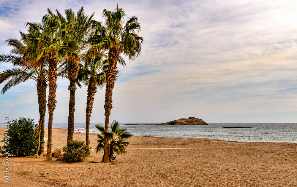 Tropical beach scene with palm trees, calm ocean and distant island on the horizon. Tropical beach scene with palm trees, calm ocean and distant island on the horizon.