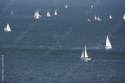 Sailboats in San Francisco Bay in San Francisco, California 
