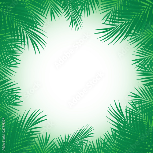 Exotic tropical palm tree. Frame border background. Summer illustration. Template for card.