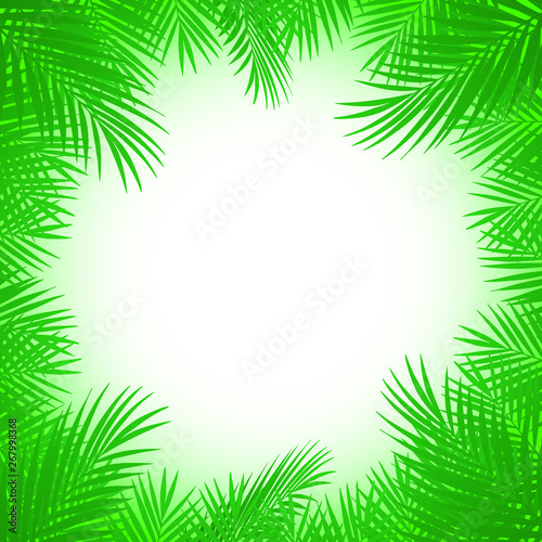 Exotic tropical palm tree. Frame border background. Summer vector illustration. Template for card.