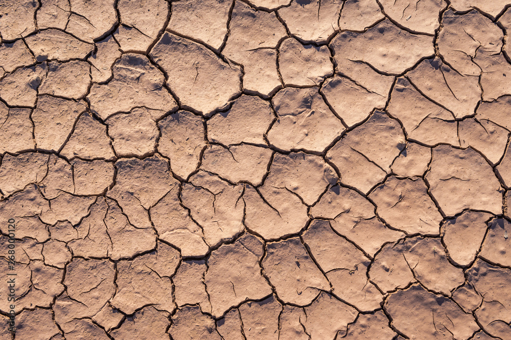 Dry Cracked Earth Dry Cracked Earth
