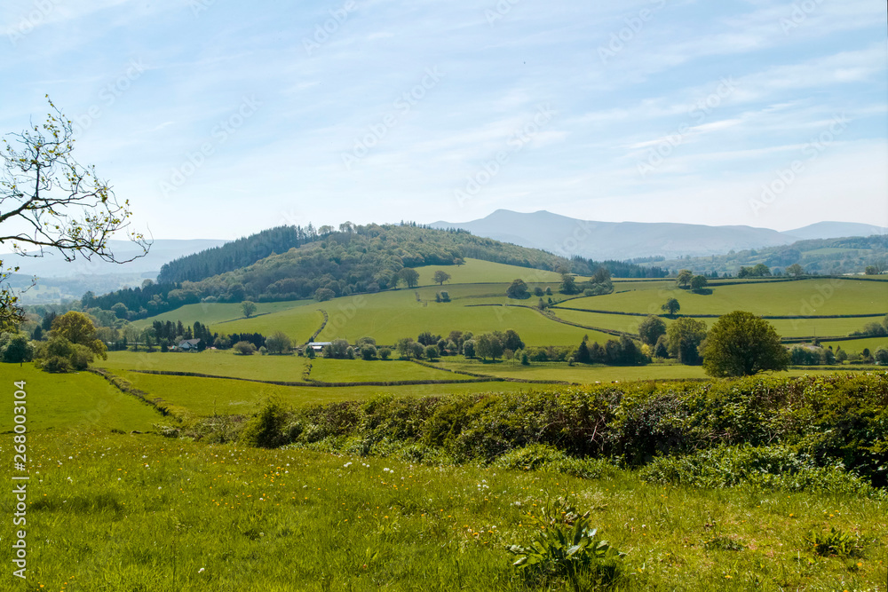 Obraz premium rural landscape with green field and trees ( pen y fan from brecon)