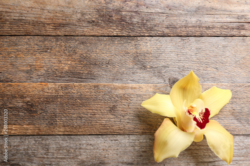 Beautiful tropical orchid flower on wooden background, top view. Space for text