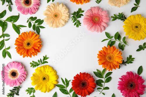 Photos Flat lay composition with beautiful bright gerbera flowers on white background