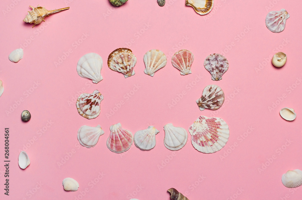 frame made of shells. seashells on a pink background with space for text frame made of shells. seashells on a pink background with space for text